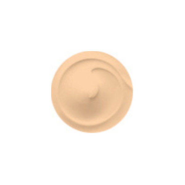 Make Up Studio Concealer In A Box