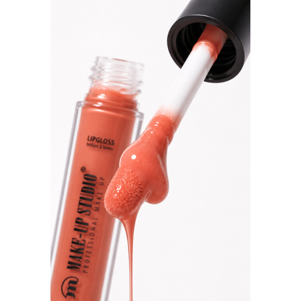 Make Up Studio Lip Glaze