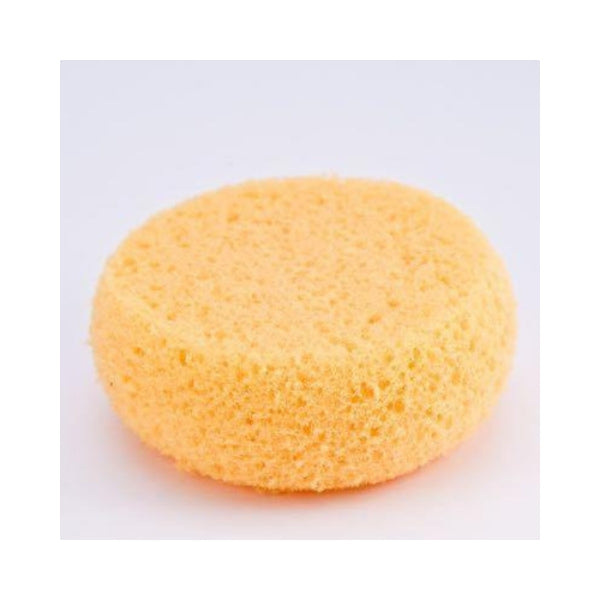 Cameleon Yellow Sponges